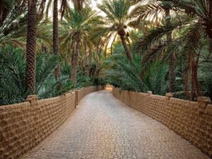Private Full Day Al Ain City Sightseeing Tour from Dubai
