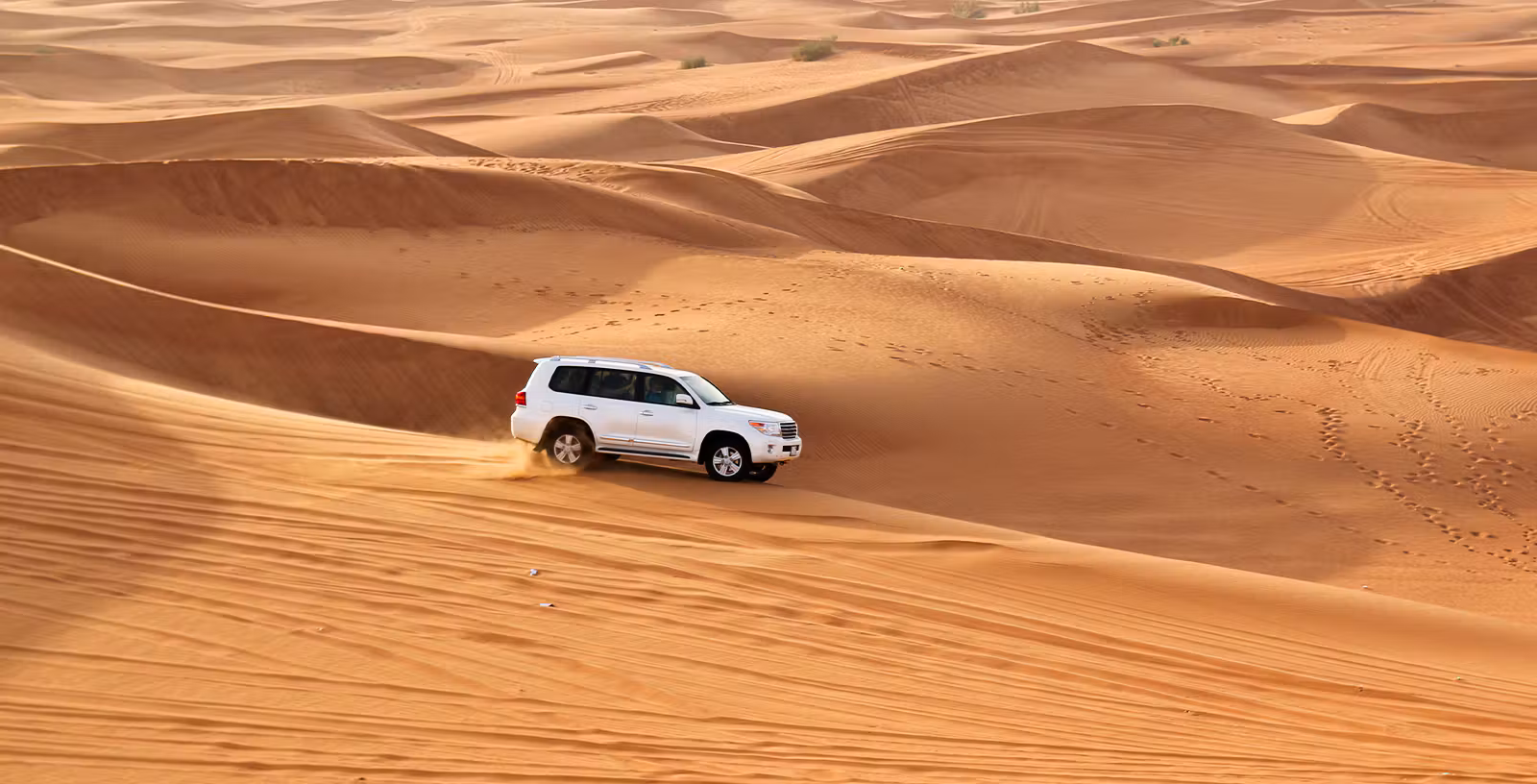 Premium Evening Desert Safari Dubai