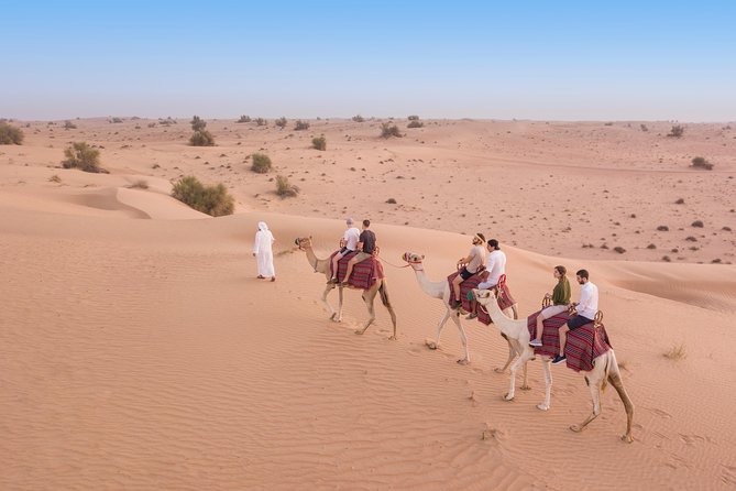 Premium Evening Desert Safari Dubai